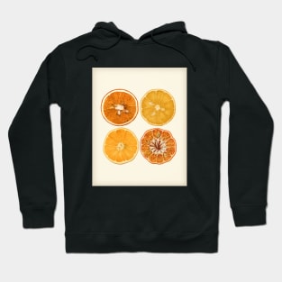 Retro Style Orange & Lemon Slice Art Hoodie